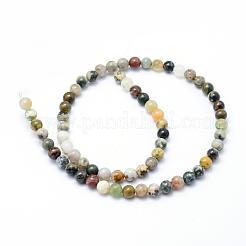 Океан Природный яшмы бисер нитей G-P326-06-6mm