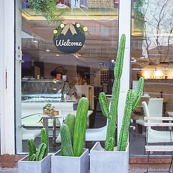 Добро пожаловать знак натурального дерева дверь висит украшение для украшения входной двери HJEW-WH0008-51