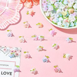 11 комплект подвесок из акриловых бусин&nbsp;FIND-SC0016-66