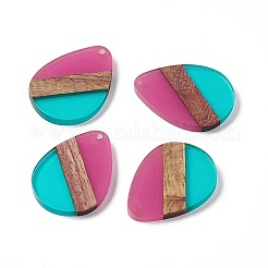 Подвески из прозрачной смолы и ореха&nbsp;RESI-M027-04G