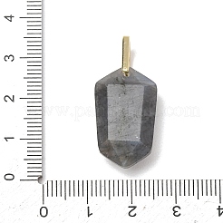 Pendentifs de labradorite naturelle&nbsp;GG-CBA5FCC-01G-07