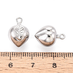 Anhänger aus 304 Edelstahl&nbsp;STAS-T067-93P