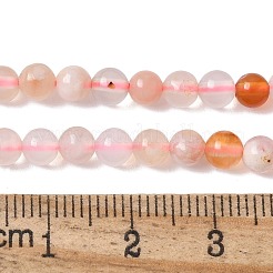 Натуральные вишневые агатовые бусины&nbsp;X-G-B130-4mm-02