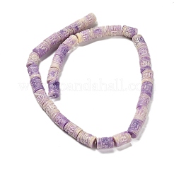 Fili di perline intagliate tinte con conchiglia sintetica&nbsp;SHEL-D081-05A