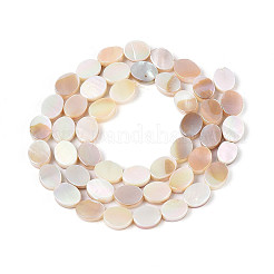 Нити бусин из натуральных пресноводных раковин с гальваническим покрытием&nbsp;SHEL-N038-27