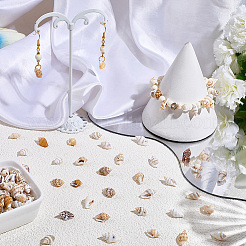 Подвески из натуральной ракушки 165 г&nbsp;SHEL-PA0001-05