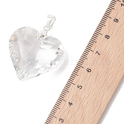 Pendentifs en verre transparent&nbsp;PALLOY-JF05262-01