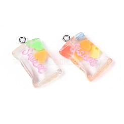 Pendentifs en résine transparente&nbsp;X-RESI-T056-06