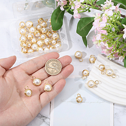 40 шт. 2 подвески из ракушки и жемчуга&nbsp;PALLOY-CA00027