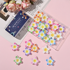 28 шт. подвески из непрозрачной смолы&nbsp;FIND-SC0019-45