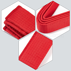 Taekwondo-Gürtel&nbsp;AJEW-WH0314-341D