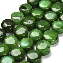 Окрашенные естественный агат бисер пряди G-G203-05