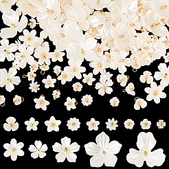 Акриловые подвески PALLOY-PH01692