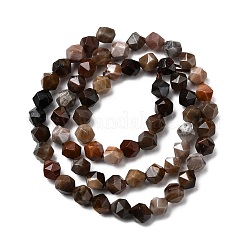 Природные окаменелое дерево бисер пряди G-Z119-A21-01