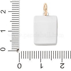 Colgantes de acero inoxidable 304&nbsp;SA-CBAAB49-04G-02