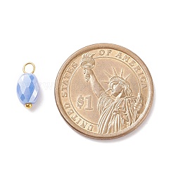 Подвески гальванизируйте стекла PALLOY-JF01541-04