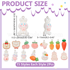 30шт 15 стиля непрозрачные подвески из смолы&nbsp;RESI-WR0001-10