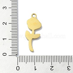 Ионное покрытие (ip) подвески из нержавеющей стали 304&nbsp;STAS-B058-17G-05