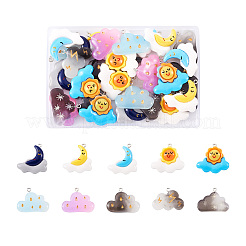 Подвески из непрозрачной смолы в стиле 40 шт. RESI-KS0001-12