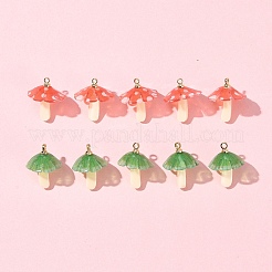 10шт 2 цвета пластиковые подвески KY-FS0001-32