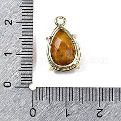 Граненые подвески из натурального тигрового глаза&nbsp;G-M431-16G-08