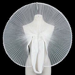 Organza-Netzstoff&nbsp;OCOR-WH0082-312B
