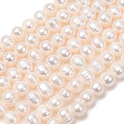 Fili di perle di perle d'acqua dolce coltivate naturali&nbsp;PA-CBABE82-15A