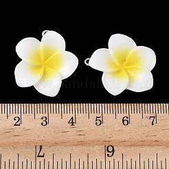 Подвески из непрозрачной смолы&nbsp;FIND-K024-01