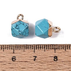 Pendentifs en turquoise synthétiques teints&nbsp;G-N359-18G-21