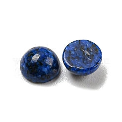 Natürliche lapislazuli gefärbte Cabochons&nbsp;G-H309-03-51