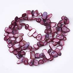 Chapelets de perles en coquille d'eau douce &nbsp;X-SHEL-S274-40G