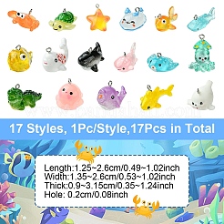 17 шт. 17 подвески из смолы в морском стиле&nbsp;RESI-YW0003-29