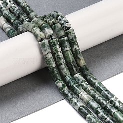 Natürliche grüne Fleck Jaspis Perlen Stränge&nbsp;G-C128-A17-01