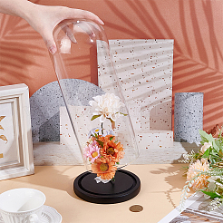 Купол из арочного стекла&nbsp;ODIS-WH0030-242B