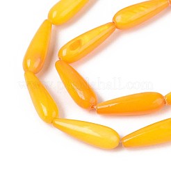 Нити бусин из натуральных пресноводных ракушек SHEL-A004-03D