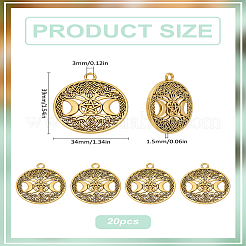 20 pendentif creux en alliage de style tibétain&nbsp;FIND-LP0001-93AG