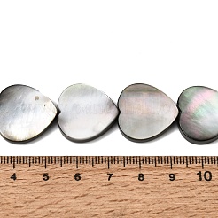 Natur schwarz Lippe Shell Perlen Stränge&nbsp;BSHE-D300-06C