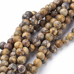 Pierres précieuses naturelles peau de léopard jaspe perles rondes, 2mm, Trou: 0.8mm, Environ 184 pcs/chapelet, 16 pouce
