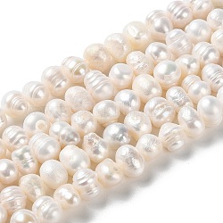 Fili di perle di perle d'acqua dolce coltivate naturali, patata, grado ab, papayawhip, 6.5~9x7~8mm, Foro: 0.6 mm, circa 49pcs/filo, 13.19 pollice (33.5 cm)