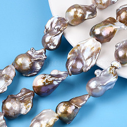 Hebras de perlas keshi de perlas barrocas naturales, perla cultivada de agua dulce, pepitas, ciruela, 22~40x16~39x12~18.5mm, agujero: 0.6 mm, aproximamente 14~15 pcs / cadena, 16.54 pulgada ~ 16.93 pulgadas (42~43 cm)
