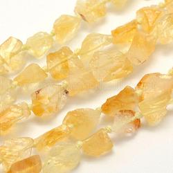 Brins de perles de citrine naturelles brutes, Grade a, pépites, 10~14x9~12mm, Trou: 1mm, Environ 37 pcs/chapelet, 16.5 pouce (41.9 cm)
