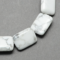 Rettangolo di pietra preziosa a forma di perle in pietra naturale Howlite fili, bianco, 18x13x6mm, Foro: 1 mm, circa 22pcs/filo, 15.7 pollice