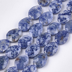 Fili di perle di diaspro macchia blu naturale, sfaccettato, lacrima, 18x13~13.5x5.5~6mm, Foro: 1.2 mm, circa 11pcs/filo, 7.8 pollice