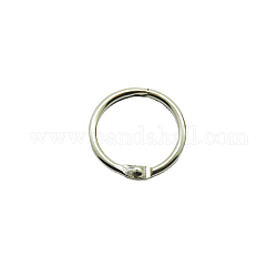 Железные вкладыши для наклеивания листового стекла навесные кольца, платина, 0.25 см, Внутренний диаметр: 3 cm