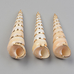 Pendentifs en spirale naturelle galvanoplastie, avec les accessoires en laiton dorés, coquille de vis, couleur de coquillage, 56.5~73.5x15~20mm, Trou: 1.6mm