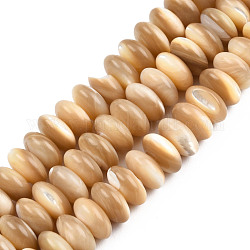 Brins de perles de coquillages naturels de troca, plat rond, 10x5mm, Trou: 0.8mm, Environ 79~80 pcs/chapelet, 15.35 pouce (39 cm)