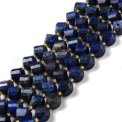 Chapelets de perles en lapis-lazuli naturel, facette, torsion, 9~10mm, Trou: 1mm, Environ 35 pcs/chapelet, 15.55 pouce (39.5 cm)