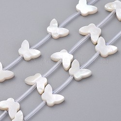 Perlas de concha de nácar de concha blanca natural, mariposa, 7x10x2mm, agujero: 0.5 mm