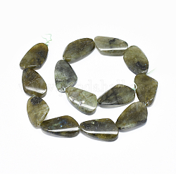 Natural Labradorite Beads Strands, teardrop, 29~30x18~18.5x5.5~6.5mm, Hole: 1.2mm, about 13pcs/strand, 14.9 inch(38cm)