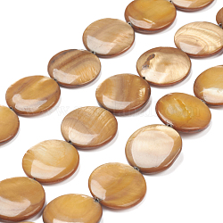 Perles de coquillages naturels d'eau douce, plat rond, 20x3.5~4.5mm, Trou: 0.5mm, Environ 20 pcs/chapelet, 15.94 pouce (40.5 cm)